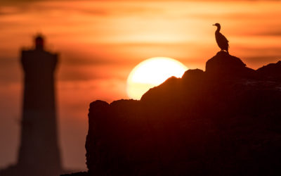 La nuit s’installe sur les Pierres Noires !