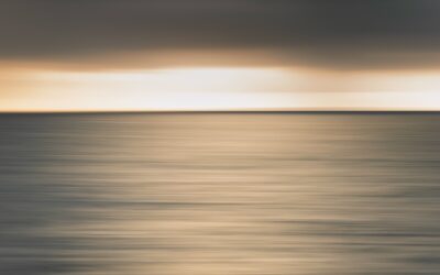 Parrain de la Section MIDSHIP