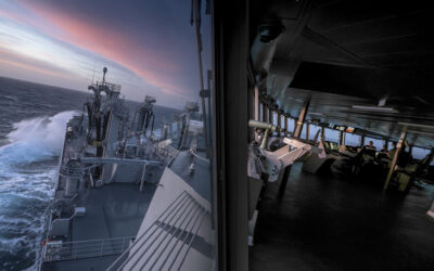 Dans la pénombre du Jacques Stosskopf